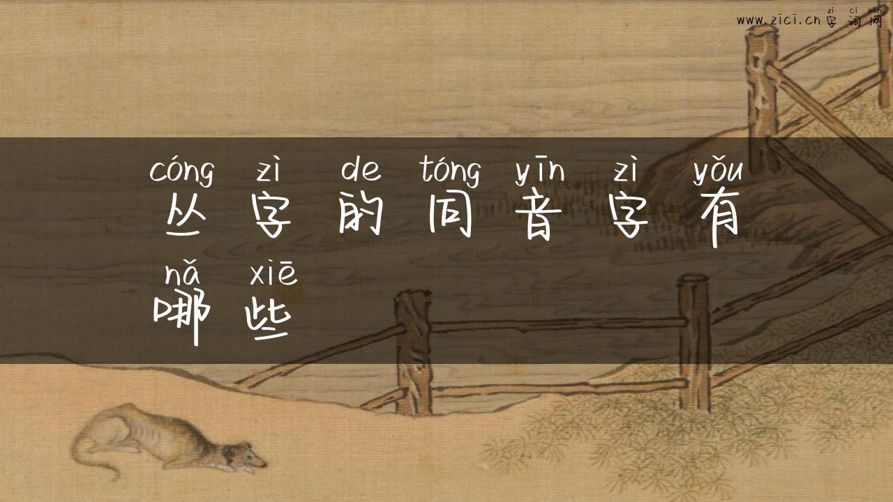 丛字的同音字有哪些