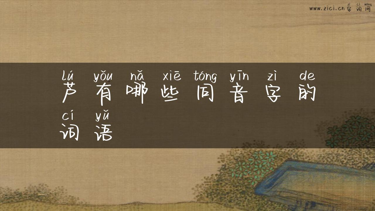 芦有哪些同音字的词语