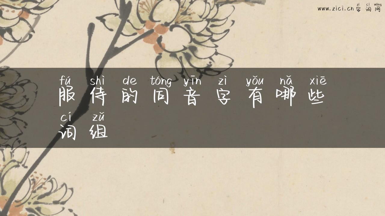 服侍的同音字有哪些词组