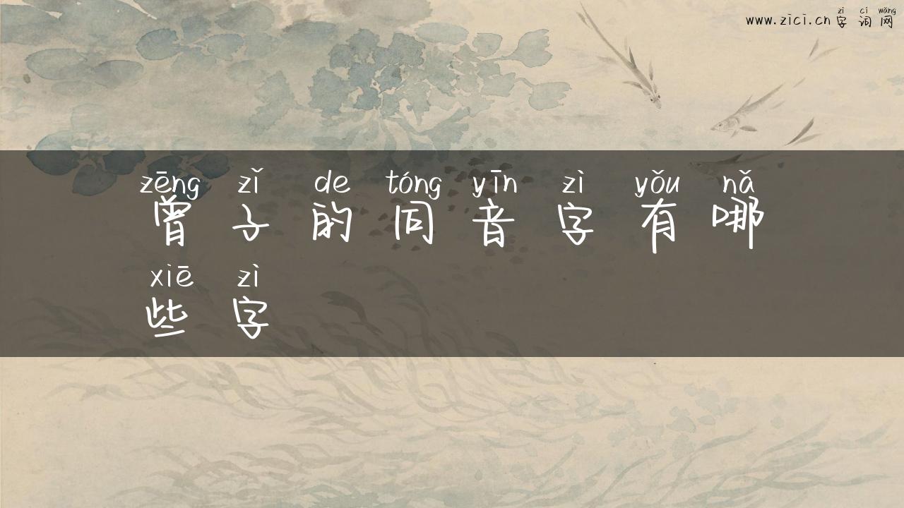 曾子的同音字有哪些字