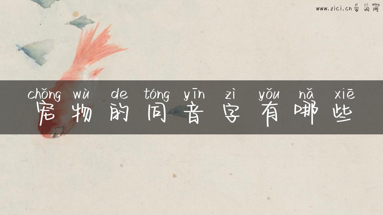 宠物的同音字有哪些