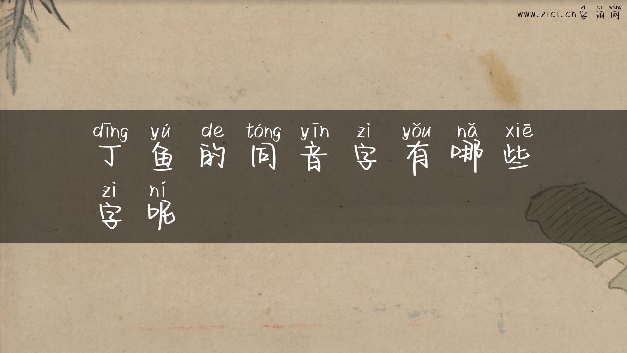 丁鱼的同音字有哪些字呢