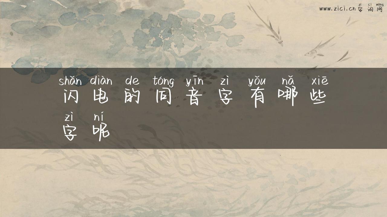 闪电的同音字有哪些字呢