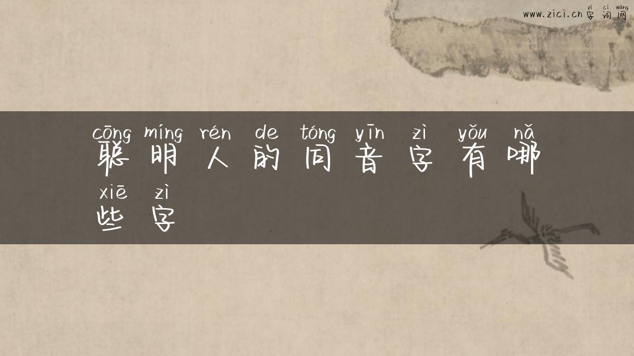 聪明人的同音字有哪些字
